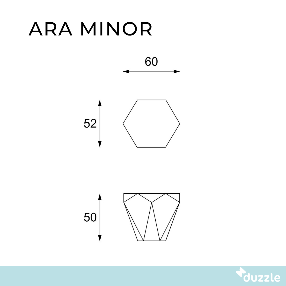 Ara minor