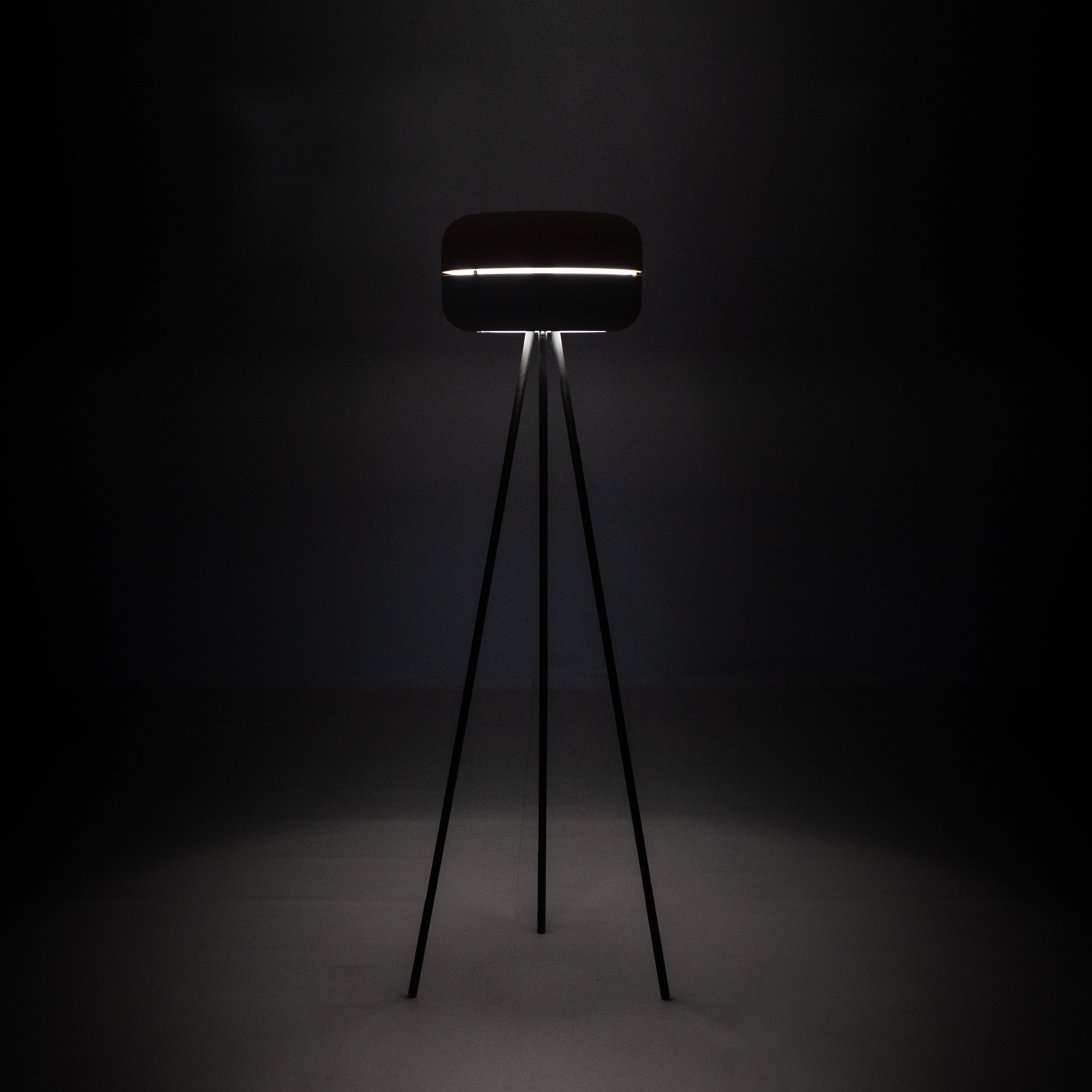 Luminosa